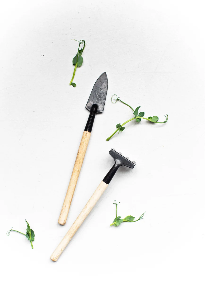 Ferramentas de jardinagem e pequenos ramos sobre fundo claro