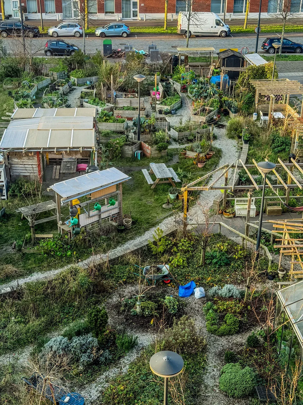 Vista aérea ilustrativa de uma horta comunitária urbana com canteiros e caminhos
